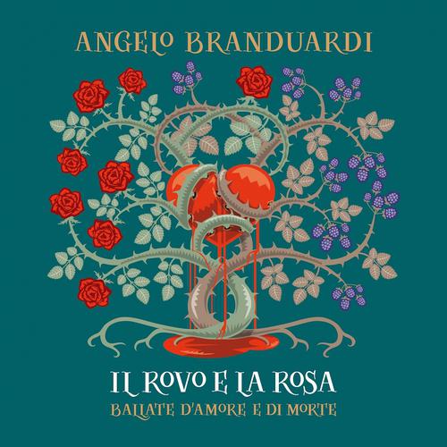 Постер альбома Il rovo e la rosa
