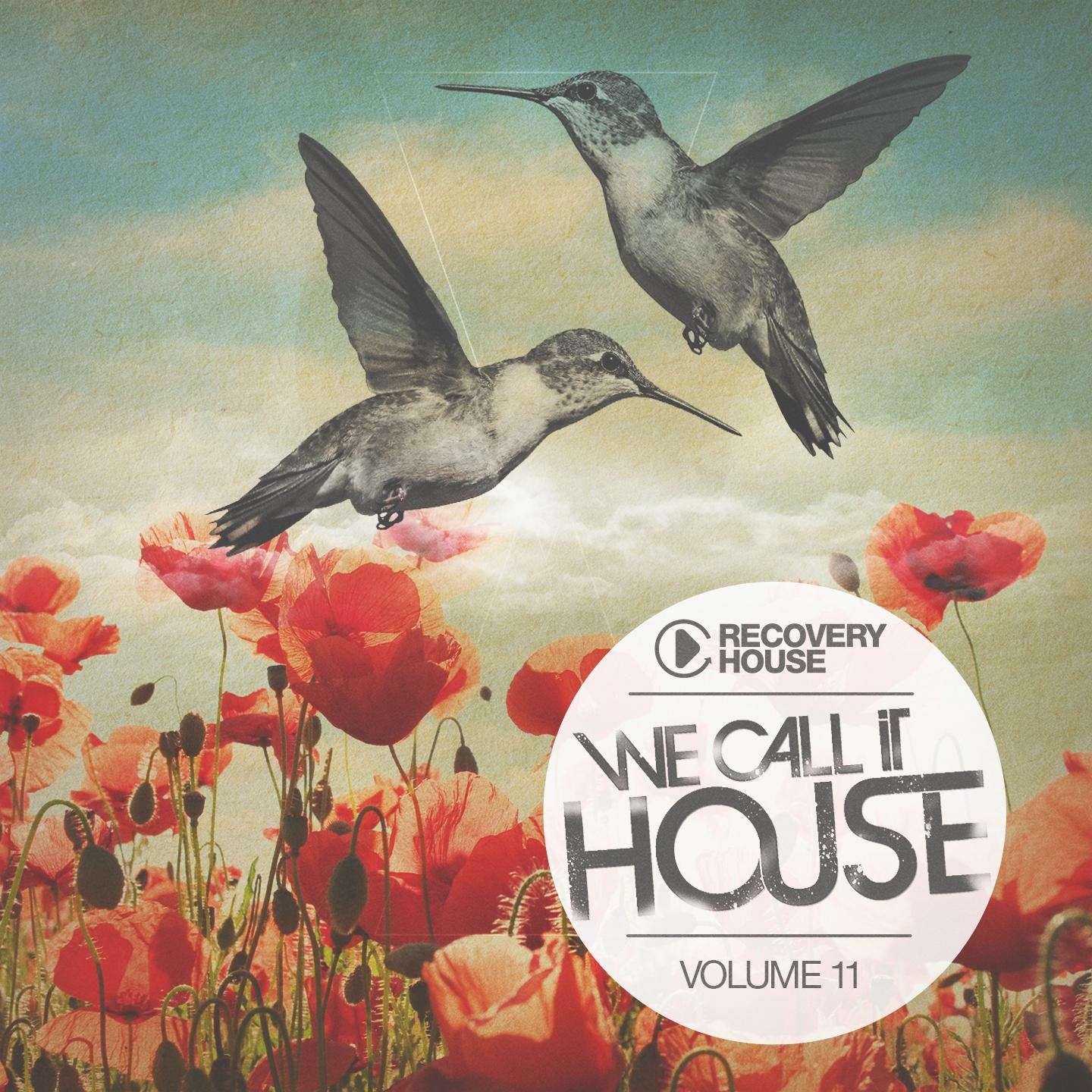 Постер альбома We Call It House, Vol. 11
