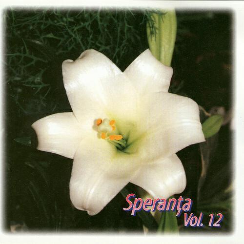 Speranta - O lumina poti sa fii
