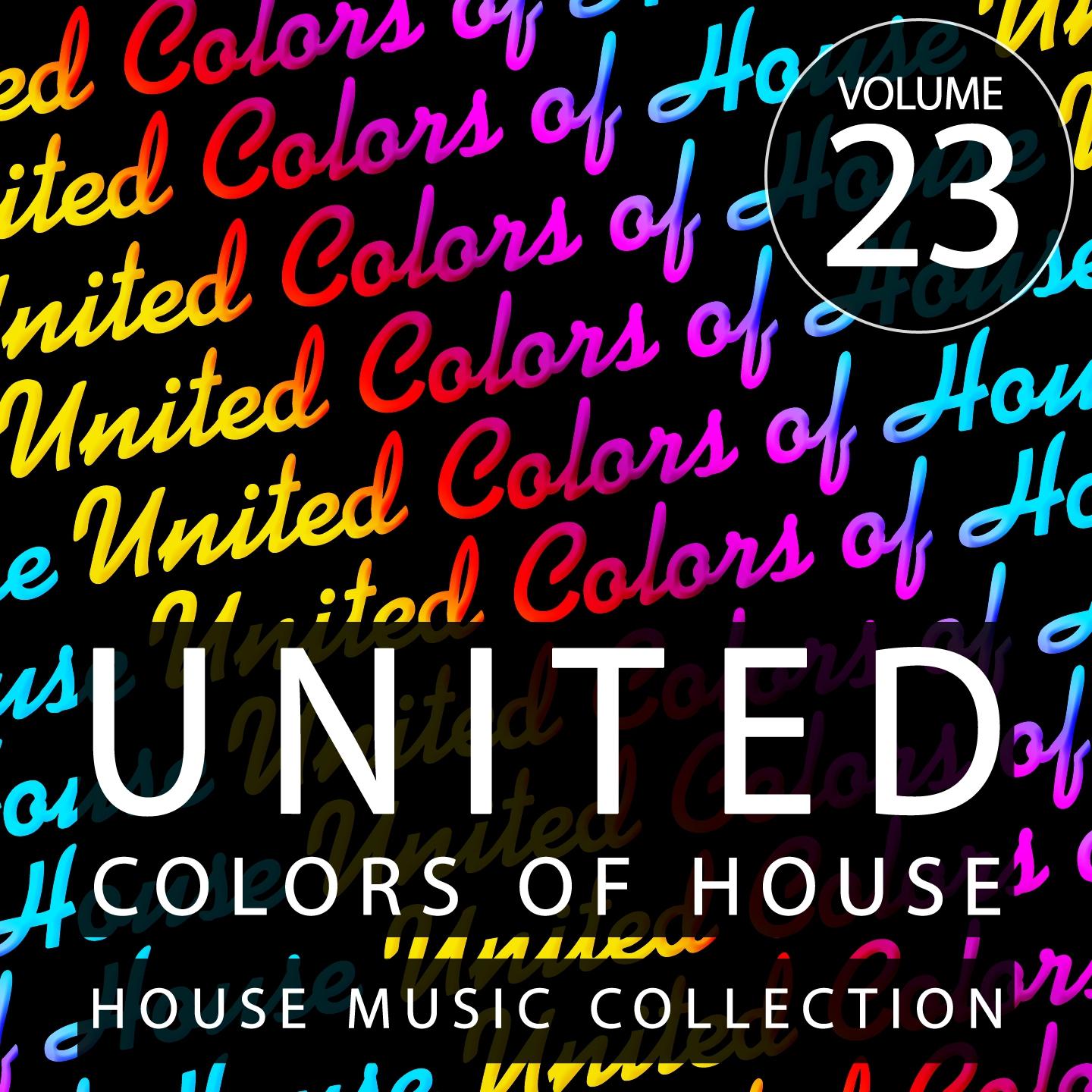 Постер альбома United Colors of House, Vol. 23