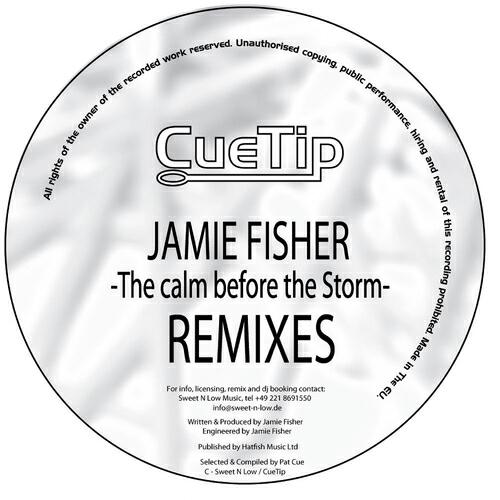 Jamie Fisher - The Calm Before the Storm (Levi Lewis Tech Remix)