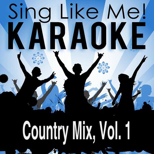 Постер альбома Country Mix, Vol. 1 (Karaoke Version)