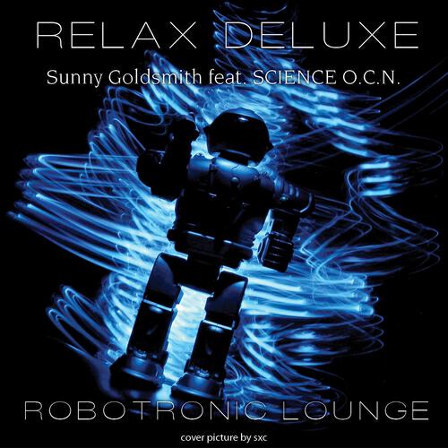 Sunny Goldsmith - Konvex