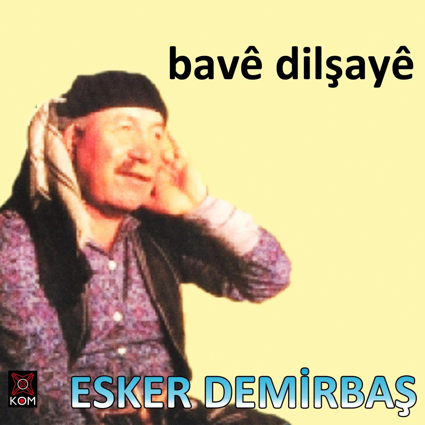 Постер альбома Bave Dilşayê
