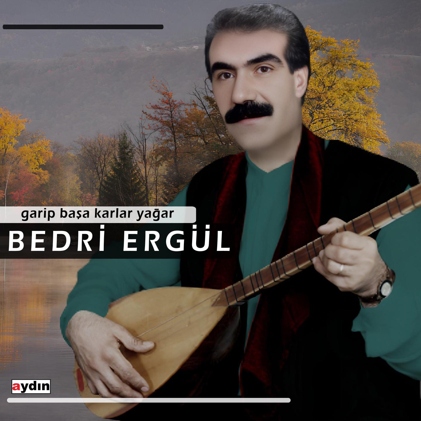 Постер альбома Garip Başa Karlar Yağar
