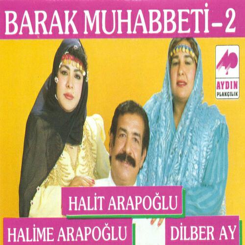 Halit Arapoğlu - Çayıra Kazan Kurdum