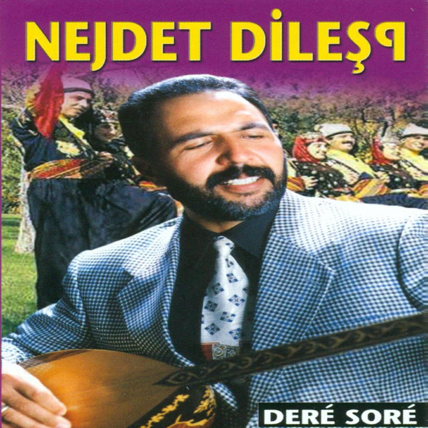 Nejdet Dileşo - Qaz