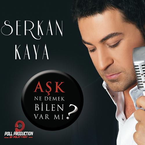 Постер альбома Aşk Ne Demek Bilen Var Mi