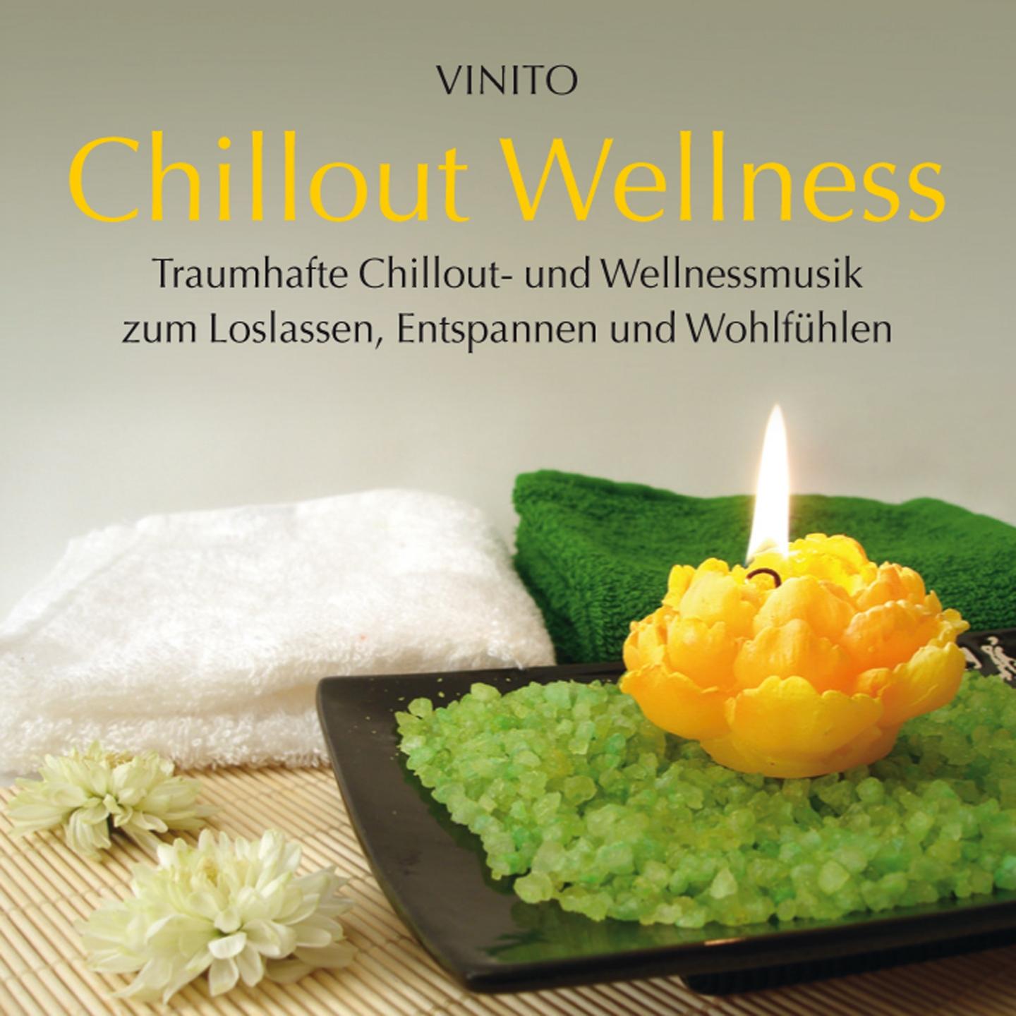 Постер альбома Chillout Wellness