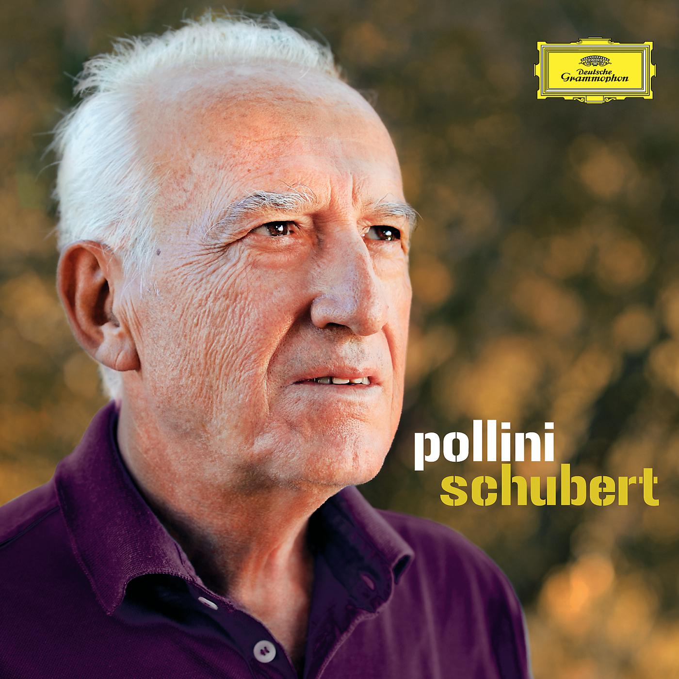 Постер альбома Pollini / Schubert