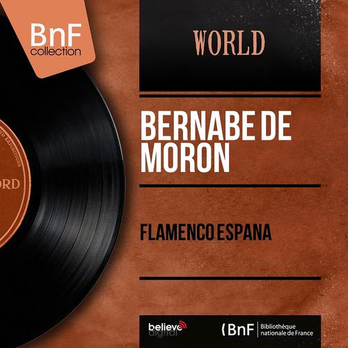 Постер альбома Flamenco España (Stereo Version)