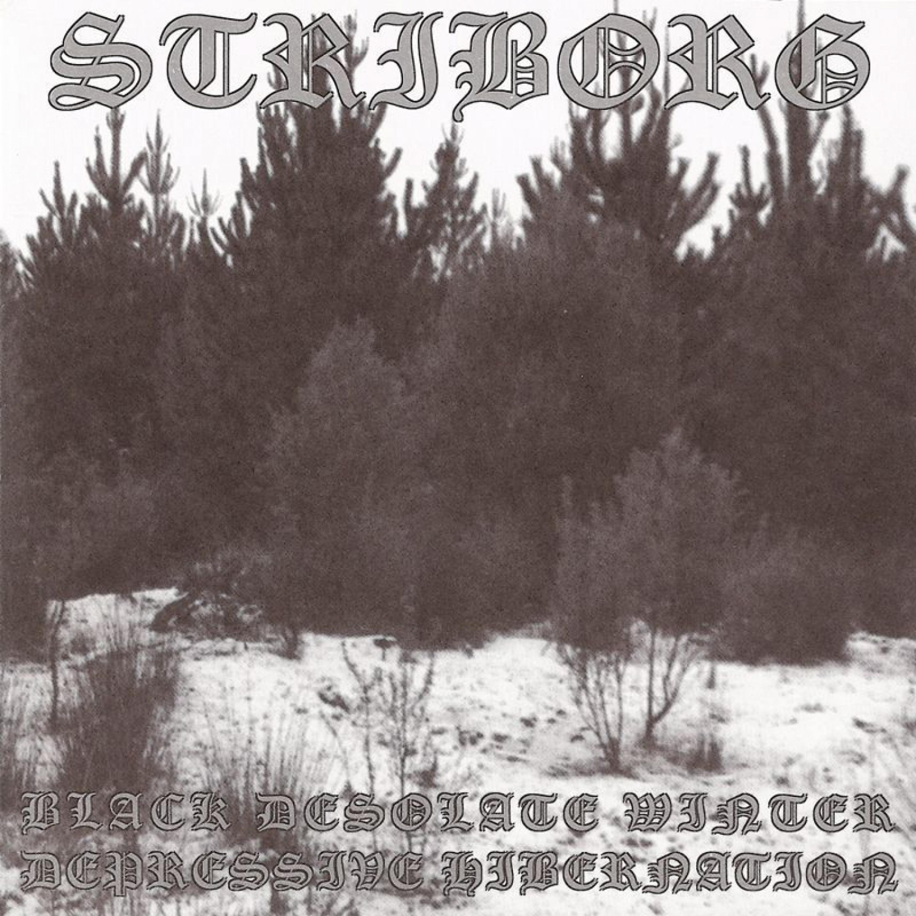 Постер альбома Black Desolate Winter / Depressive Hibernation