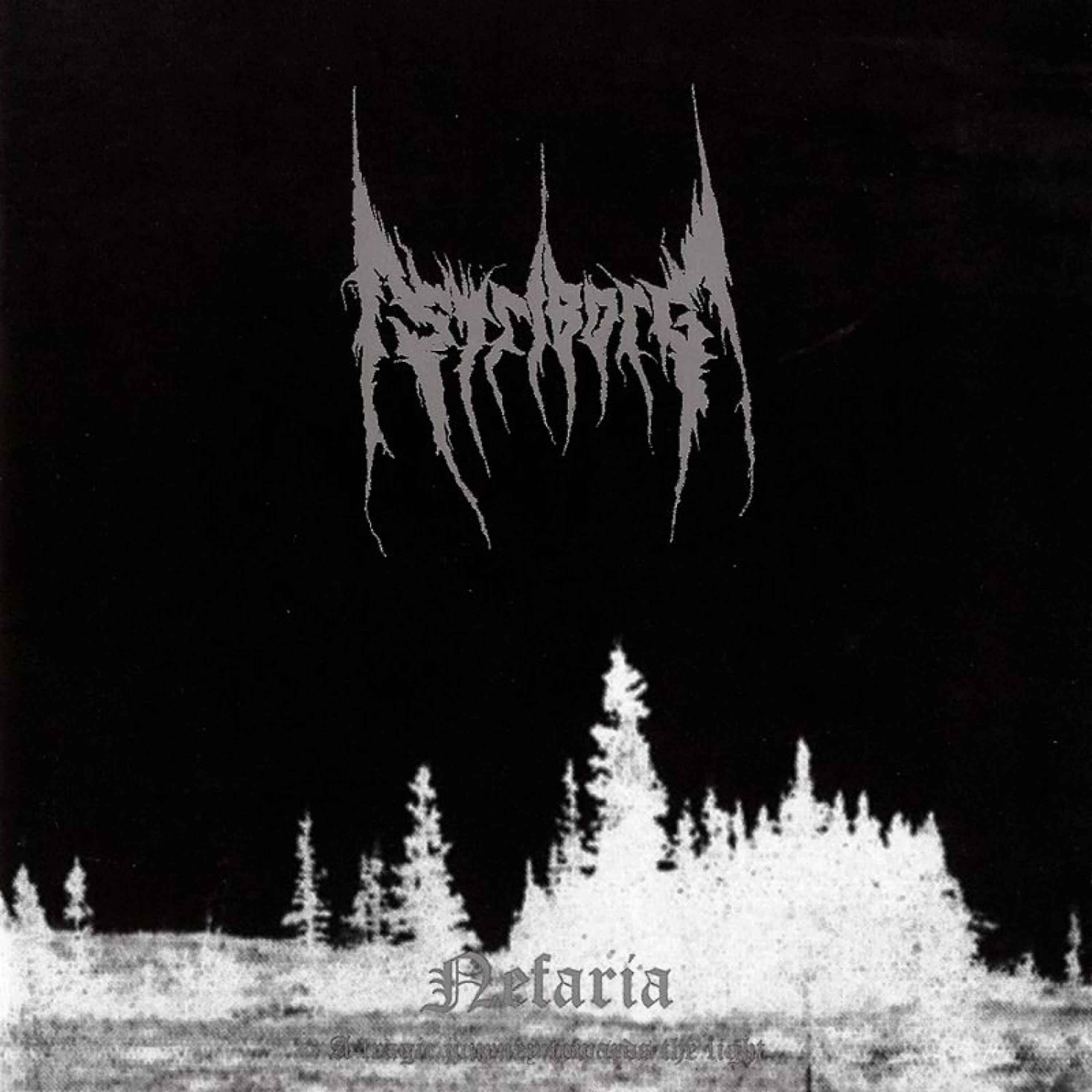 Striborg - Beyond the Shadow of Silence