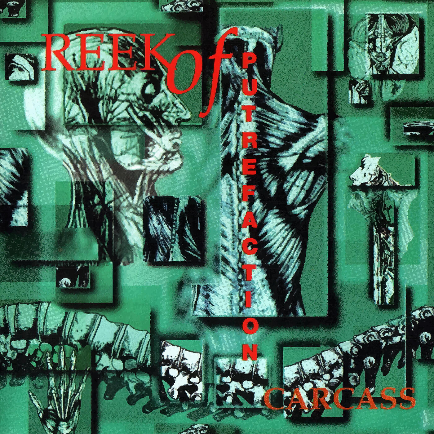 Carcass - Genital Grinder
