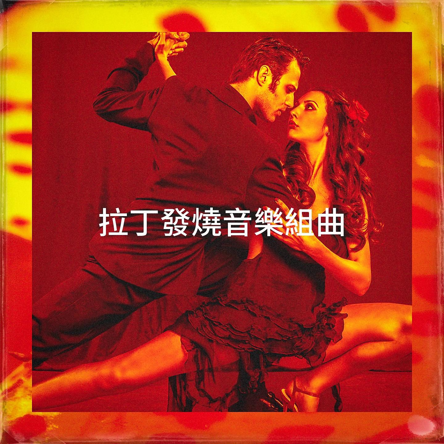 Постер альбома 拉丁發燒音樂組曲