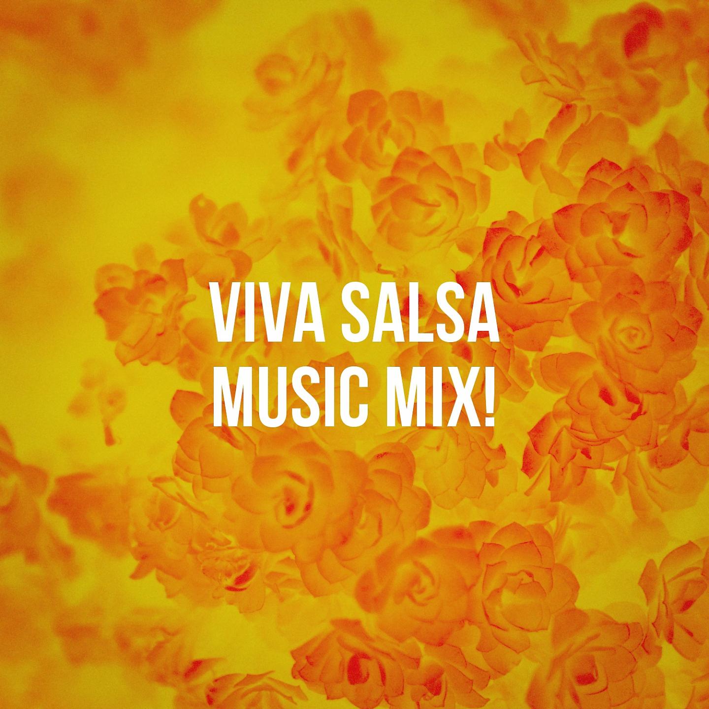 Постер альбома Viva Salsa Music Mix!