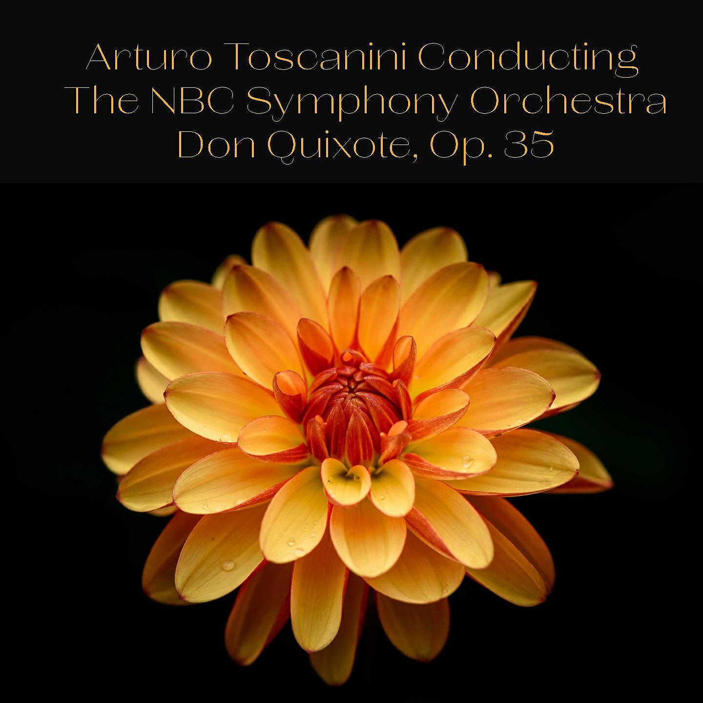 NBC Symphony Orchestra - Don Quixote, Op. 35: Quixote. Finale: The Death of Don Q