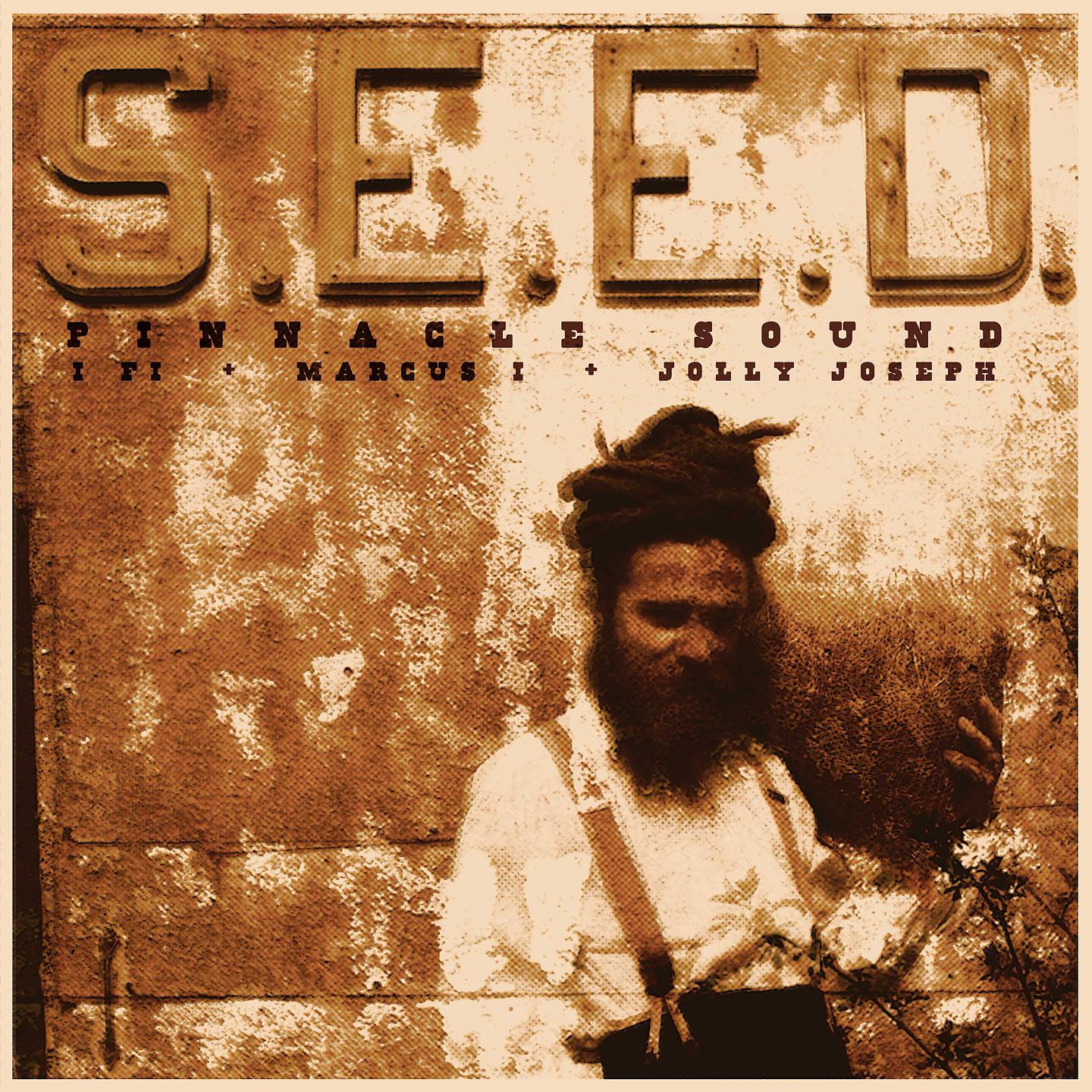 Постер альбома Seed