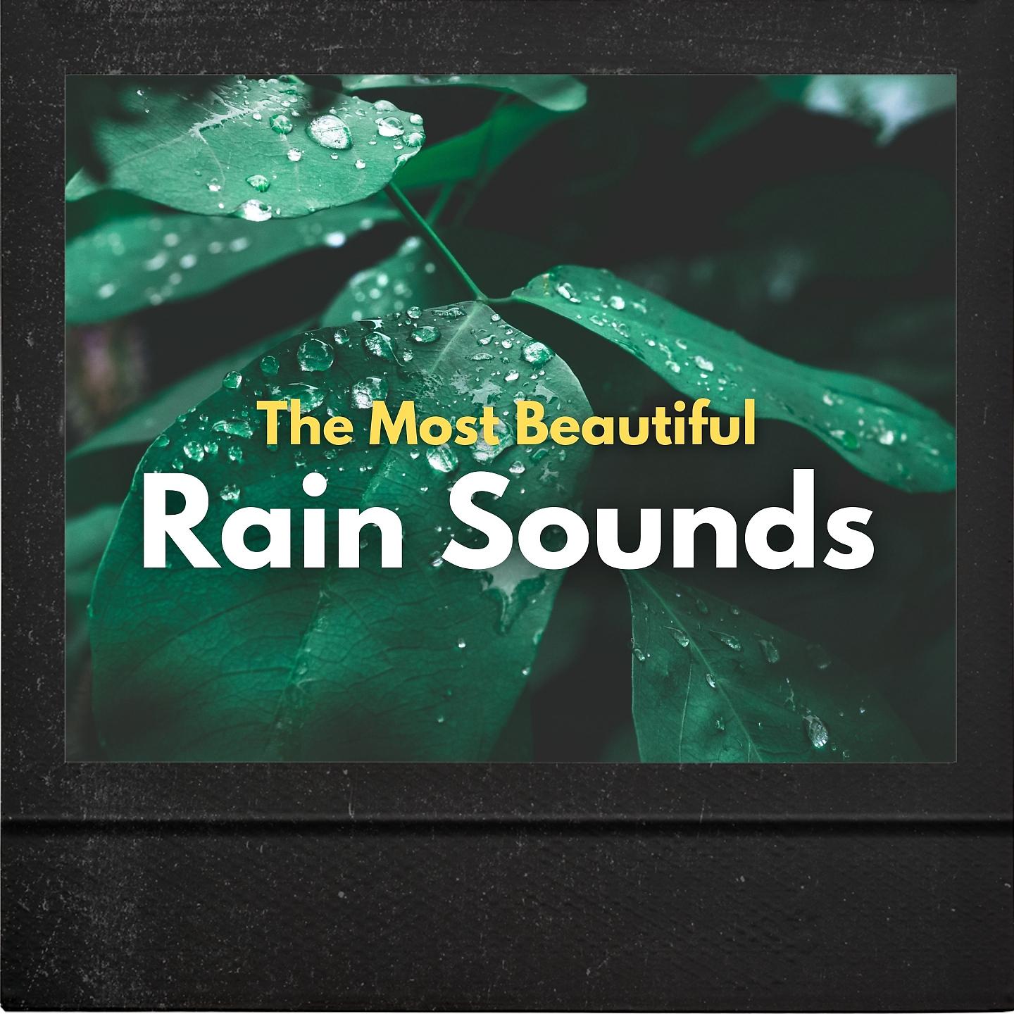 Постер альбома The Most Beautiful Rain Sounds