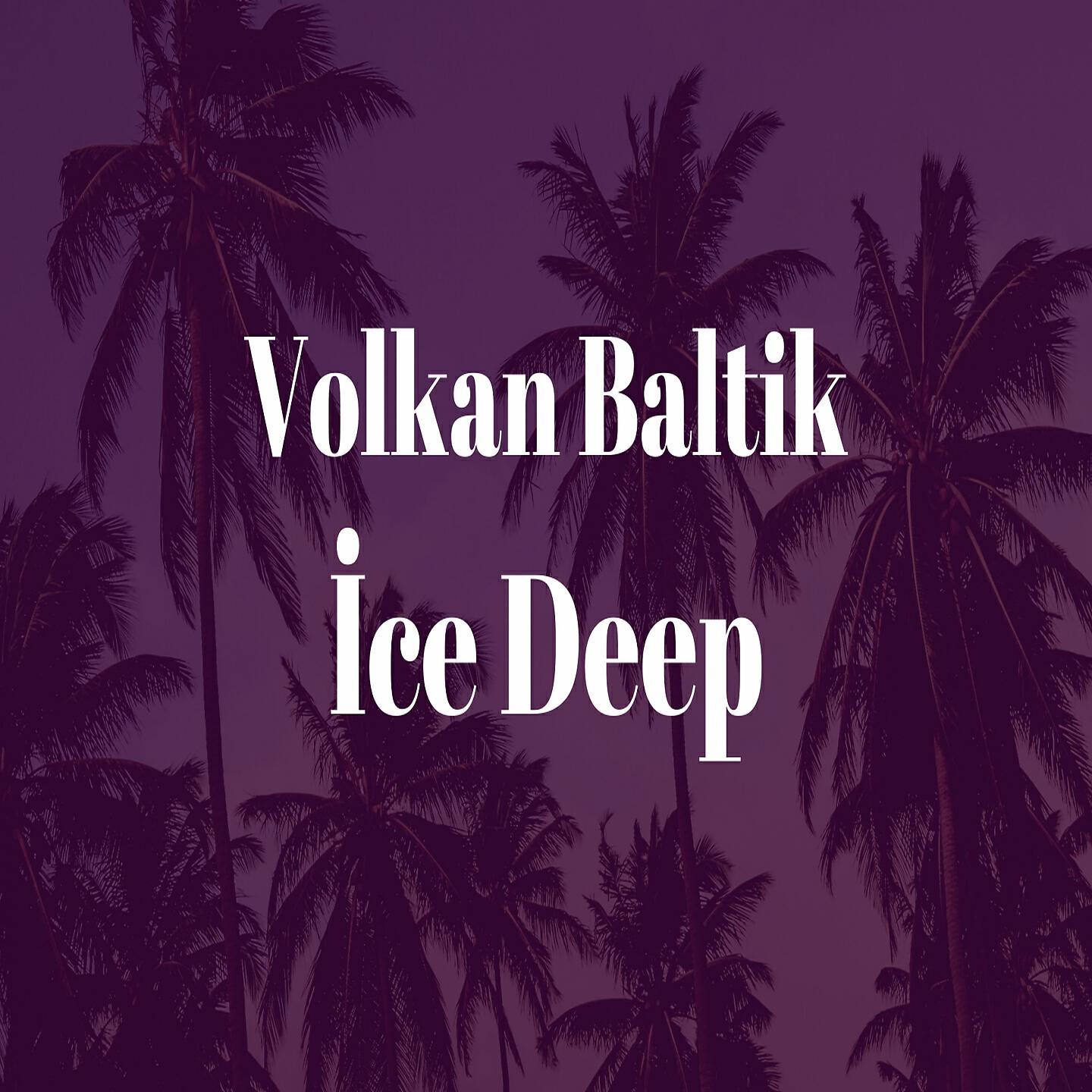 Volkan Baltik - Yelber Aliu