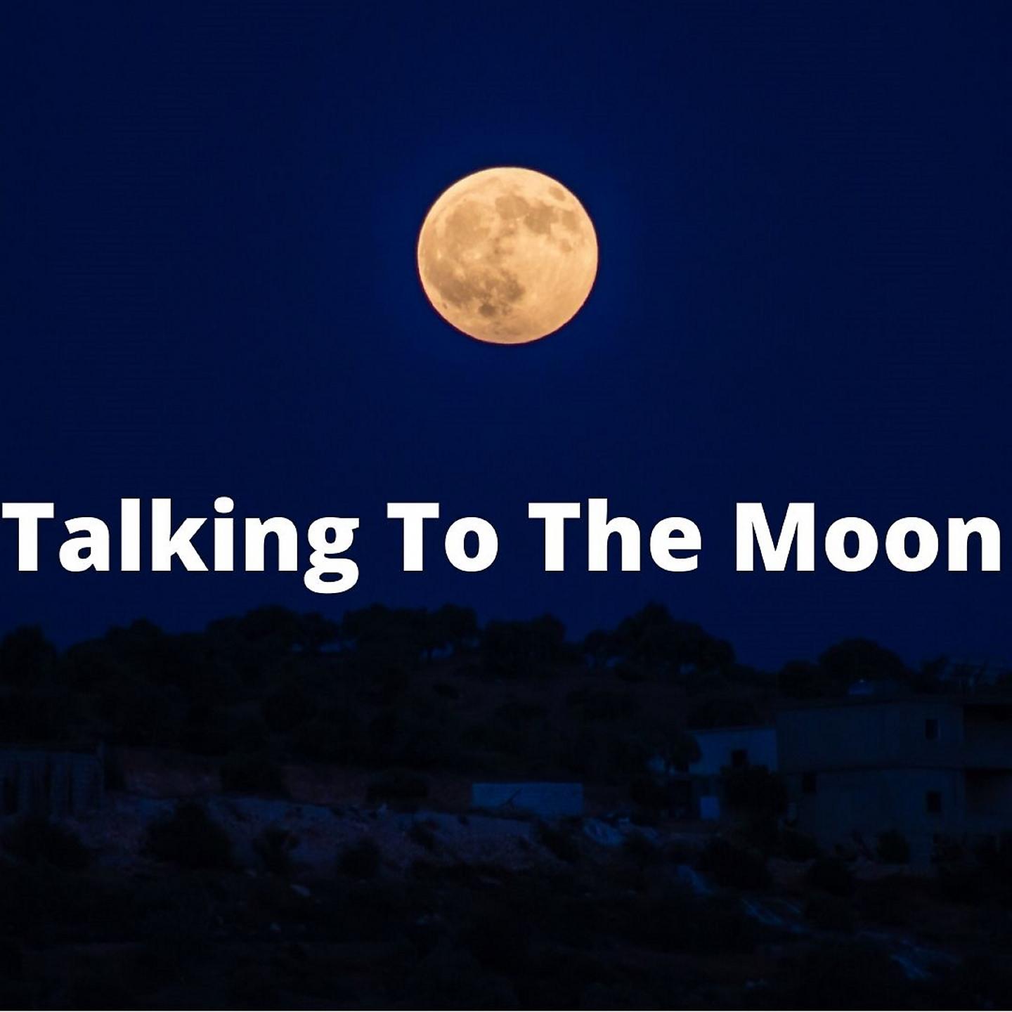 Постер альбома Talking To The Moon - TikTok