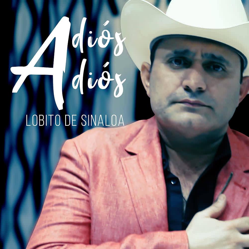 Постер альбома Adiós Adiós