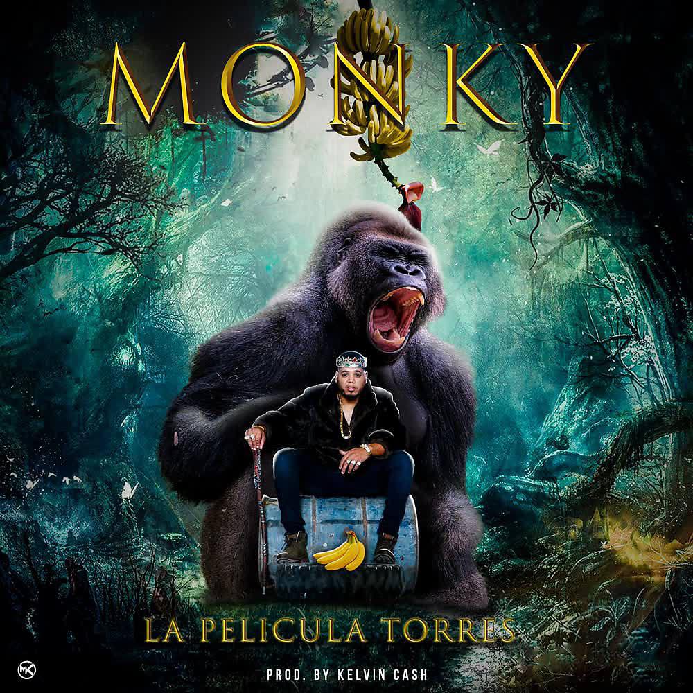 Постер альбома Monky