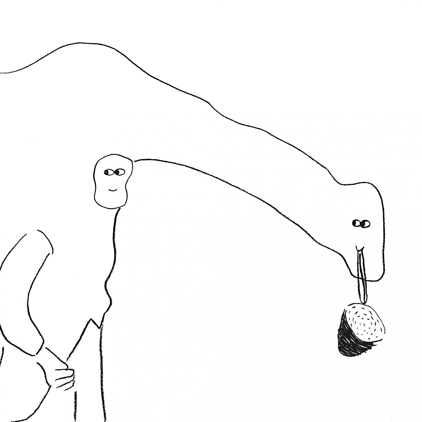Science Noodles - Slowtime
