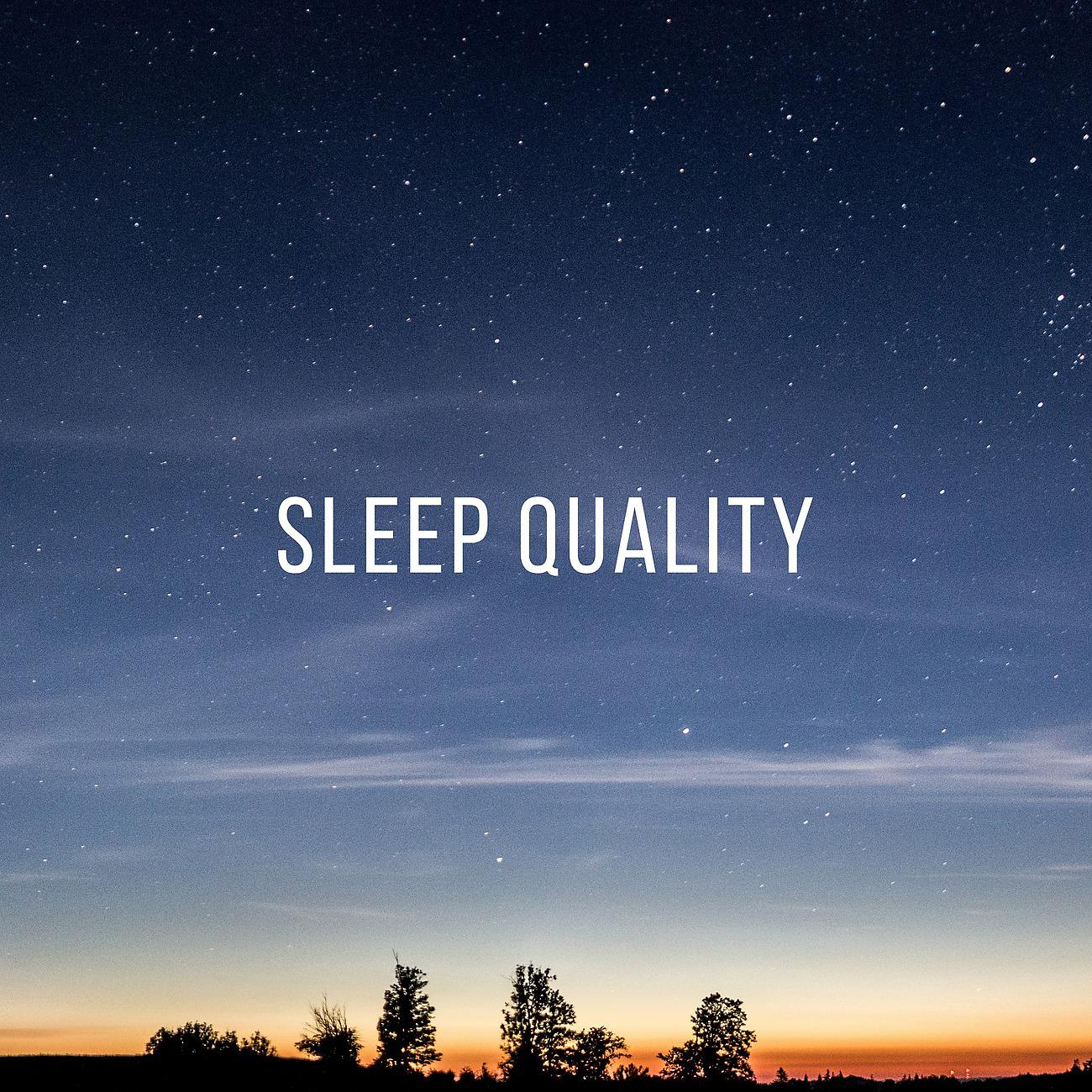 Постер альбома Sleep Quality