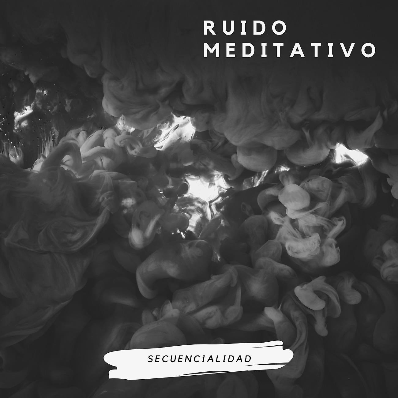 Постер альбома Ruido Meditativo