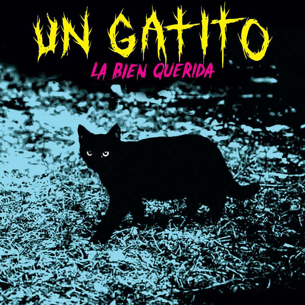 Постер альбома Un Gatito