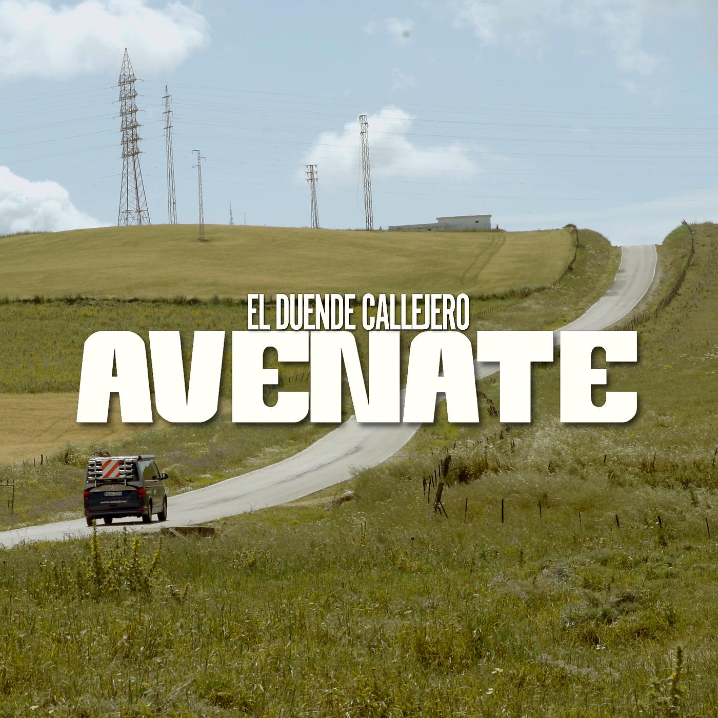 Постер альбома Avenate