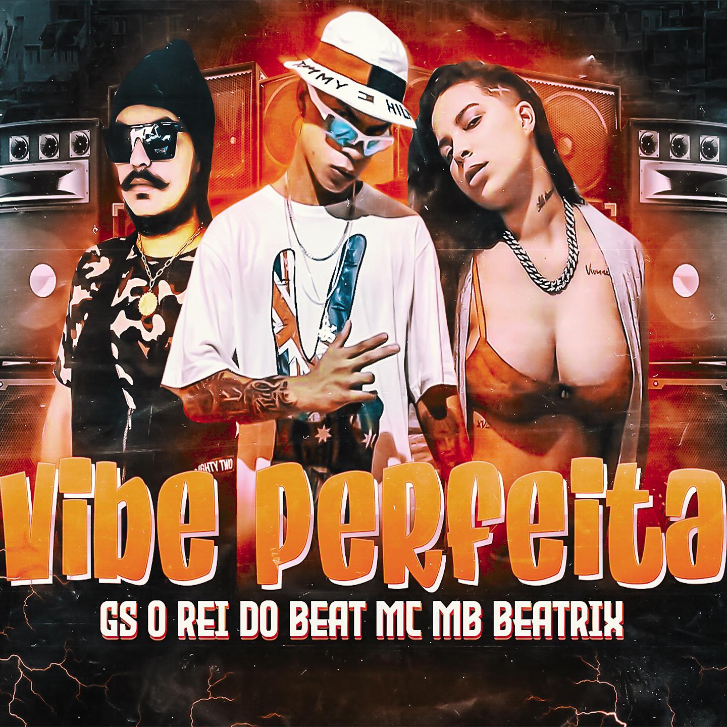Постер альбома Vibe Perfeita