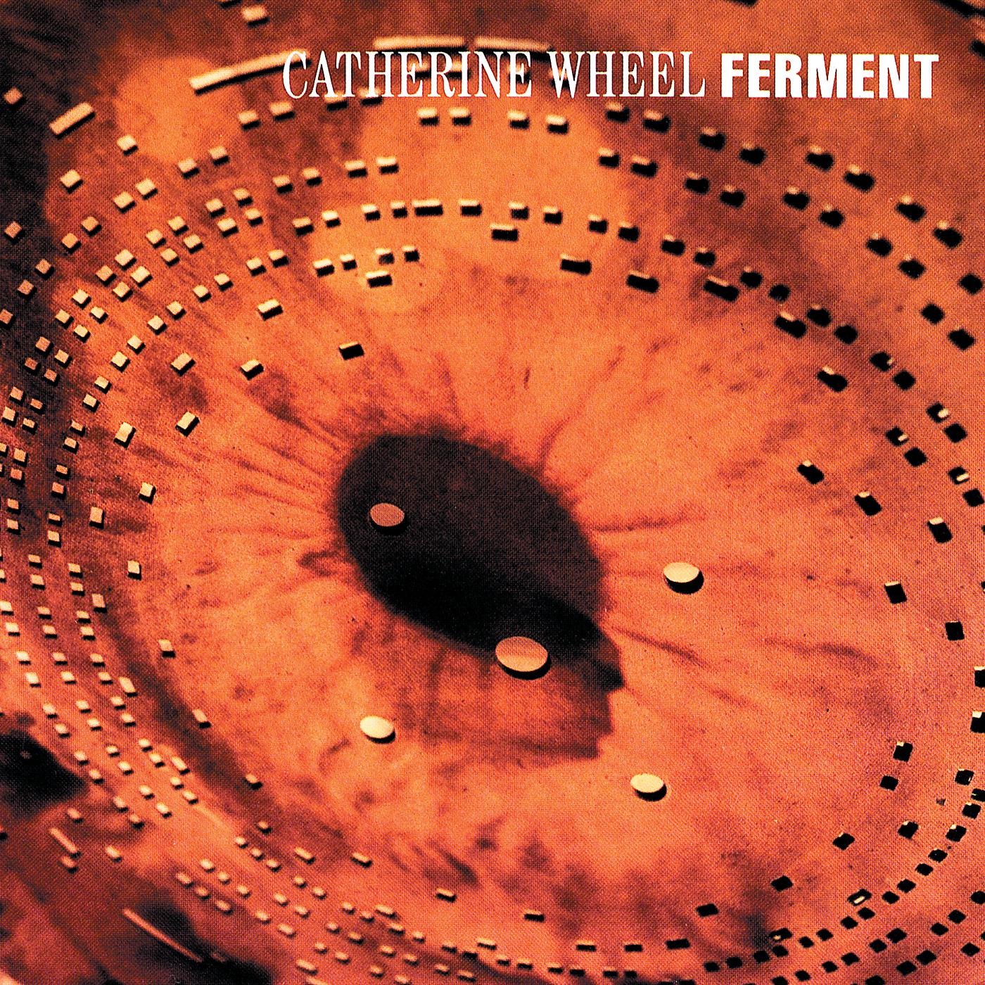 Постер альбома Ferment