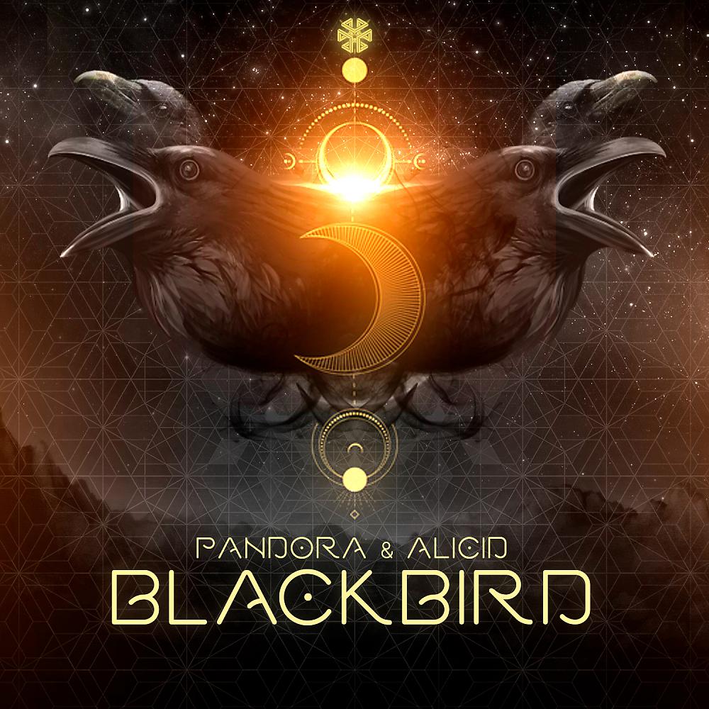 Постер альбома Black Bird
