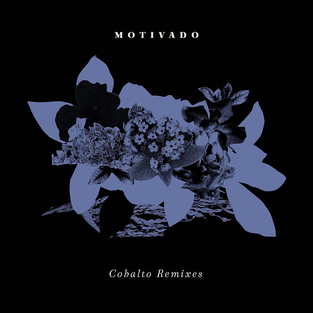 Постер альбома Cobalto Remixes