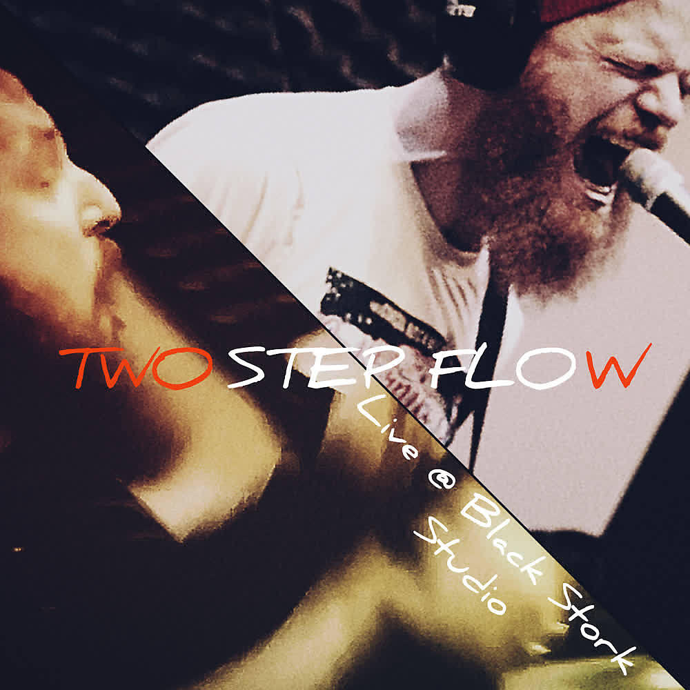 Two Step Flow - Freaking Insane (Live at Black Stork Studio)
