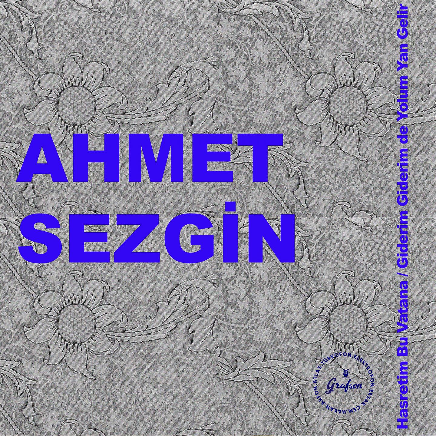 Постер альбома Hasretim Bu Vatana / Giderim Giderim De Yolum Yan Gelir