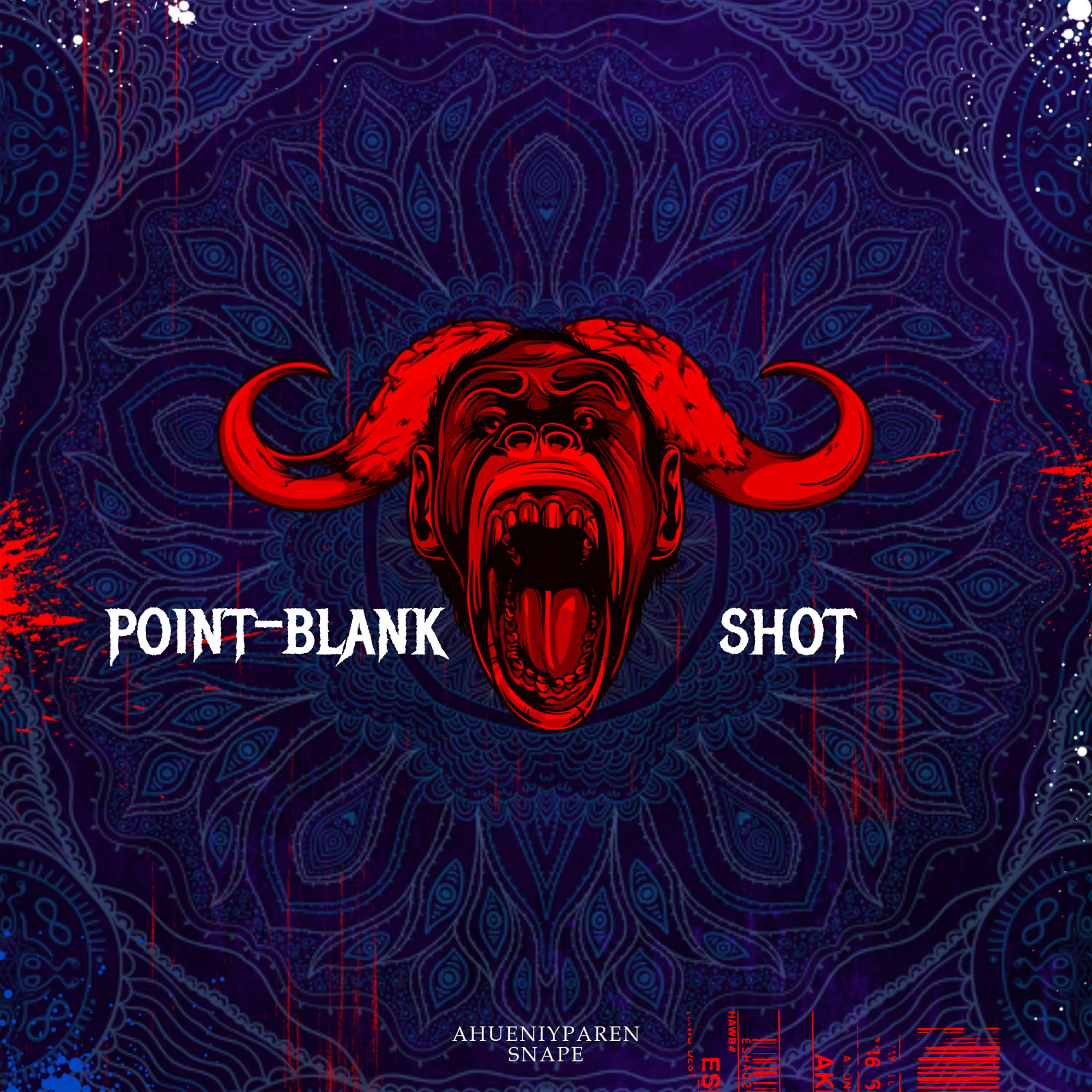 Постер альбома Point-Blank Shot