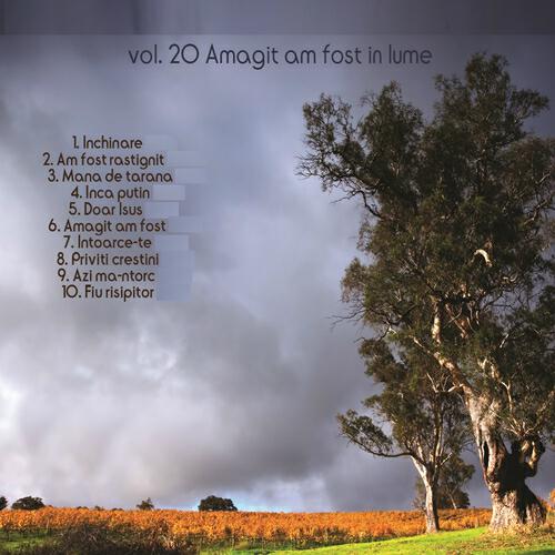 Ovidiu Liteanu - Azi Ma-Ntorc