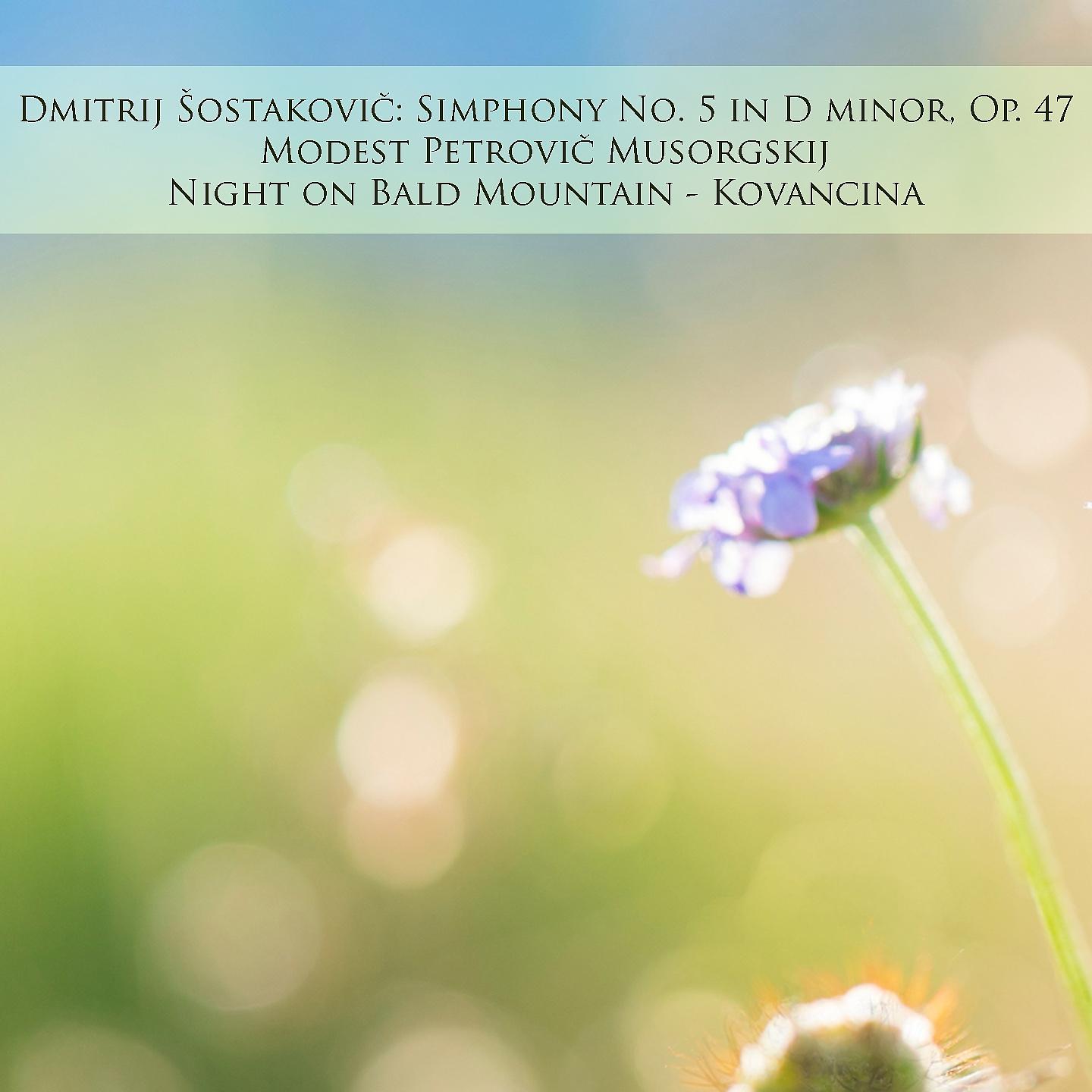 Постер альбома Dmitrij Šostakovič: Simphony No. 5 in D minor, Op. 47 / Modest Petrovič Musorgskij: Night on Bald Mountain - Kovancina