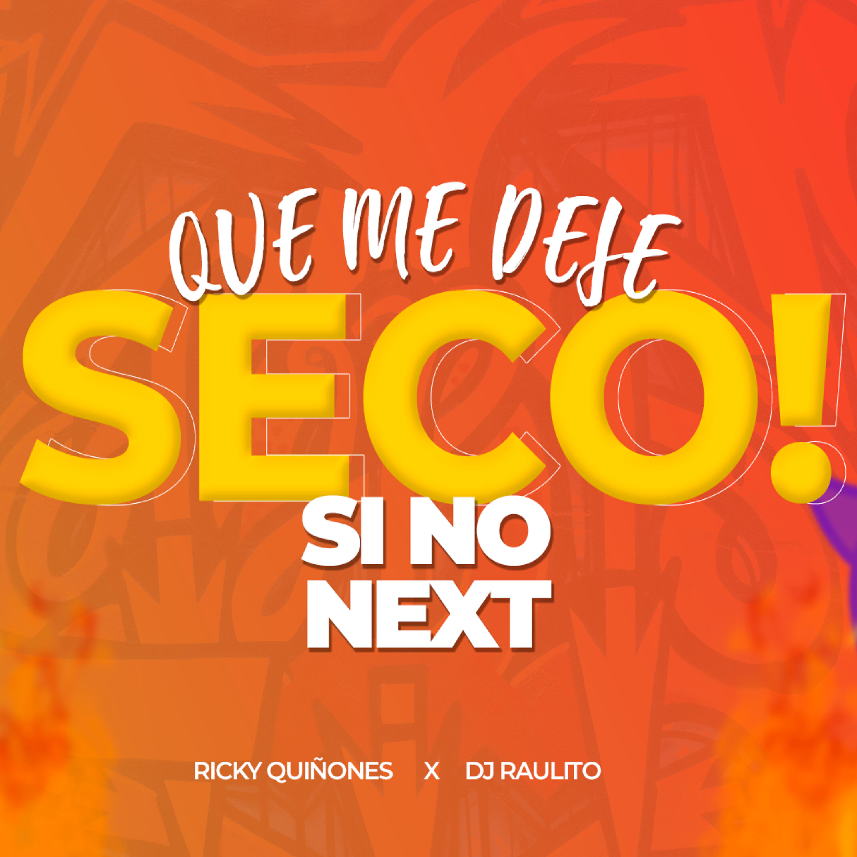 Dj Raulito - Que Me Deje Seco Si No Next