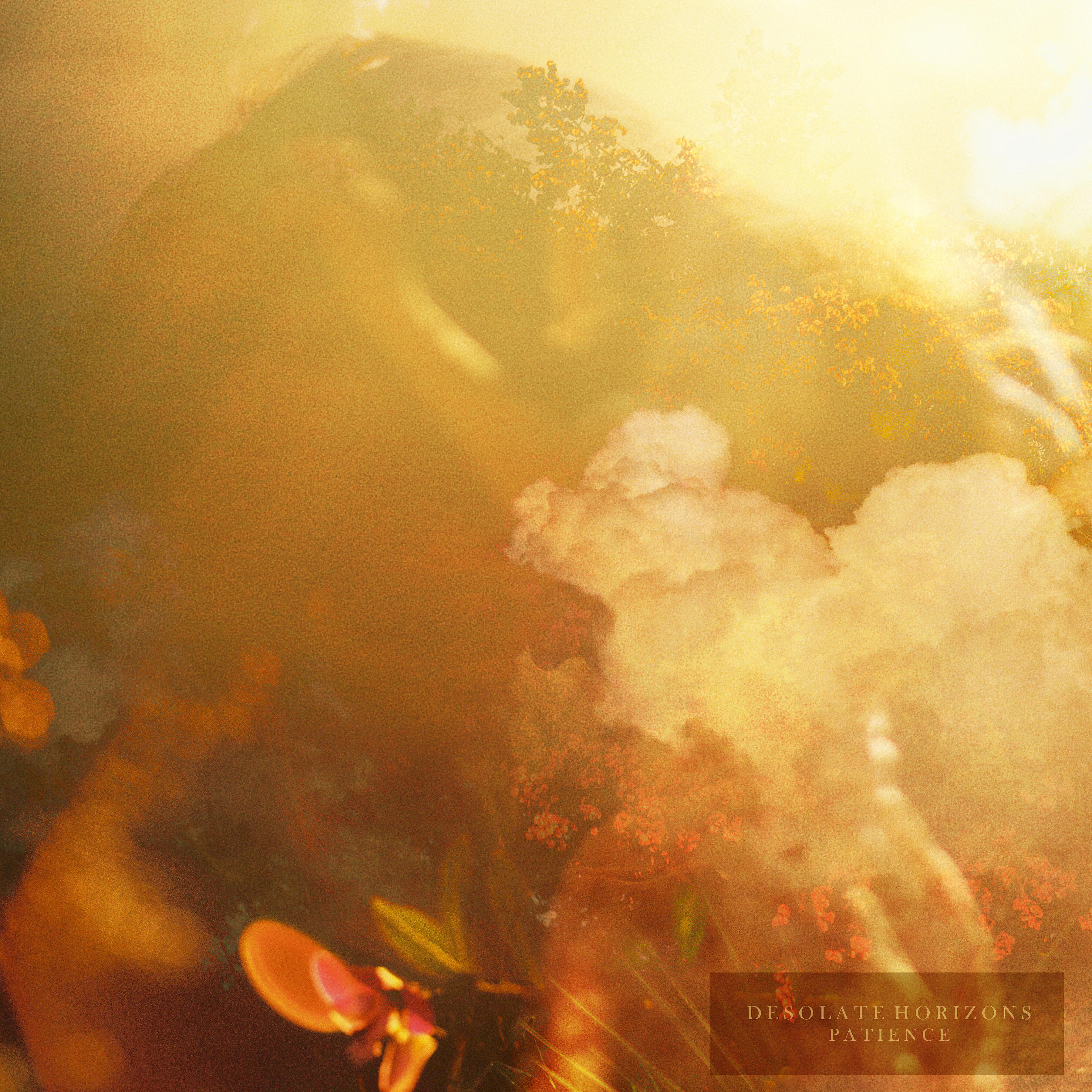 Desolate Horizons - Everyday, There Is That Memory or That Daydream