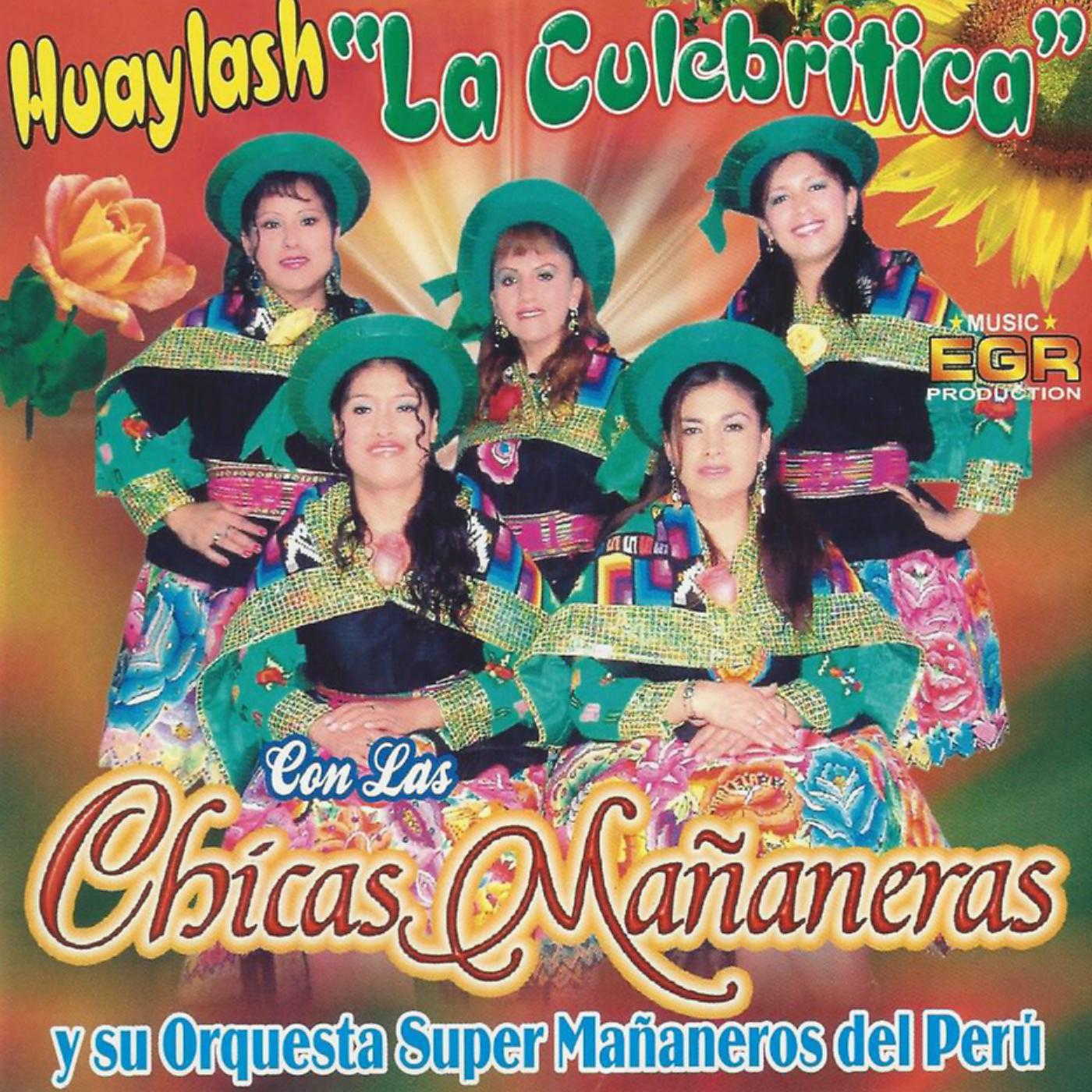 Постер альбома Huaylash la Culebritica