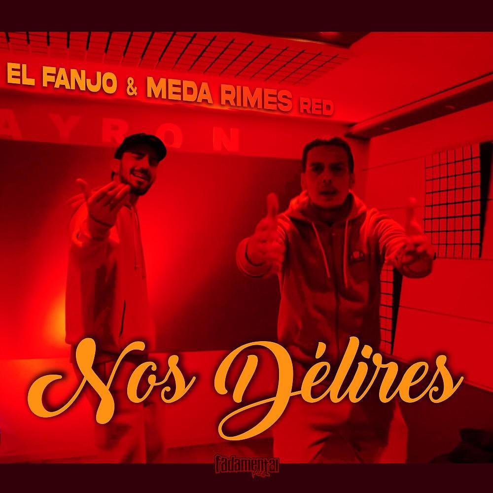 Постер альбома Nos délires