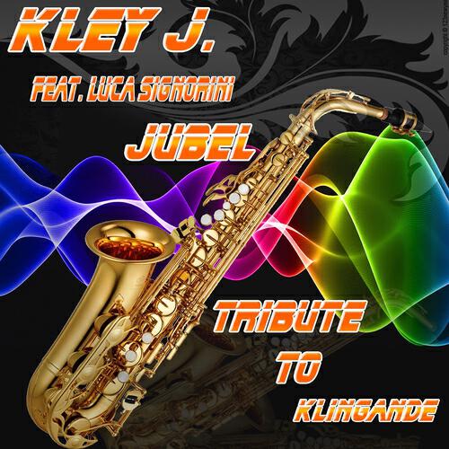 Kley J. - Jubel (House Steep Remix Instrumental)
