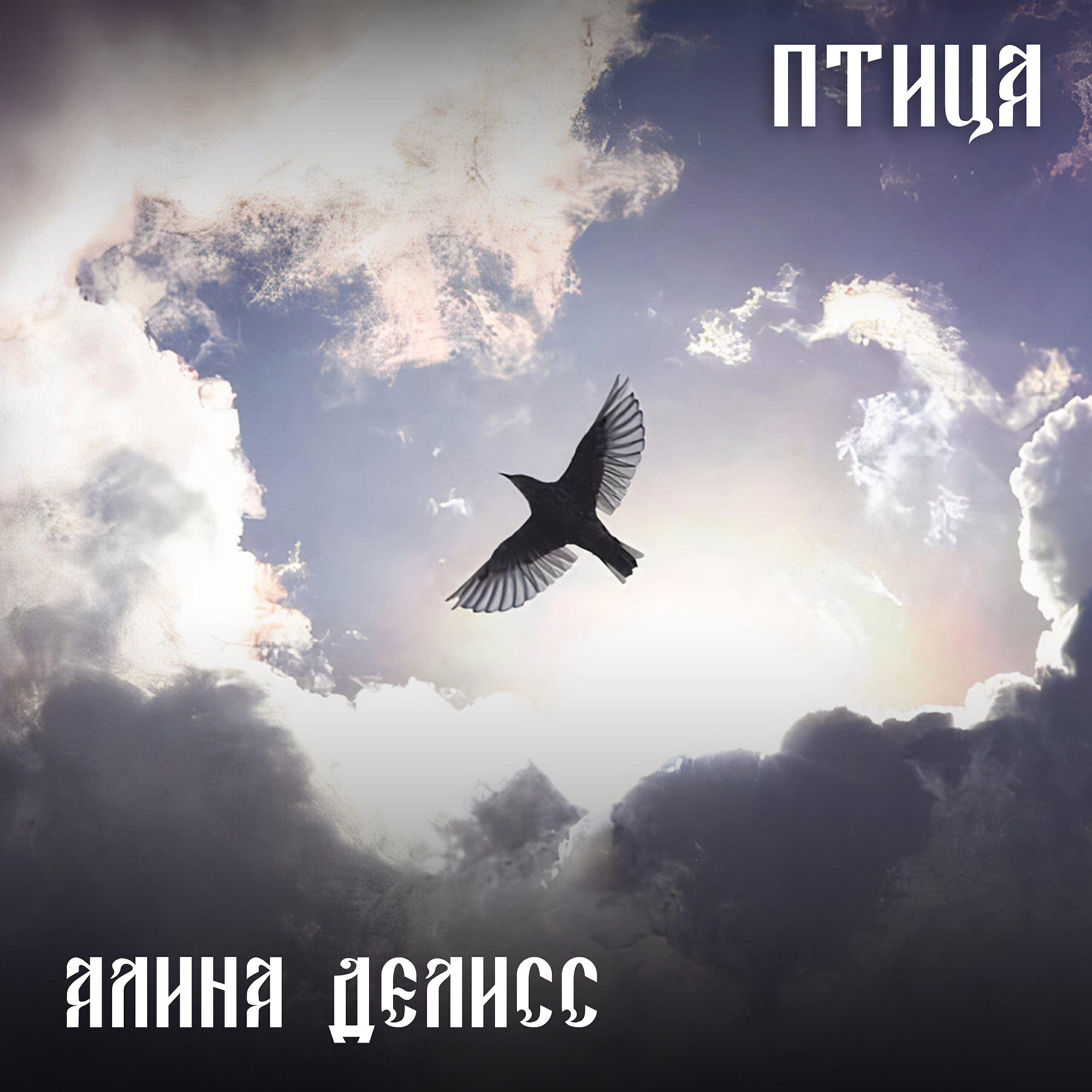 Алина Делисс - Птица (Инструментальная версия с бэк-вокалом)