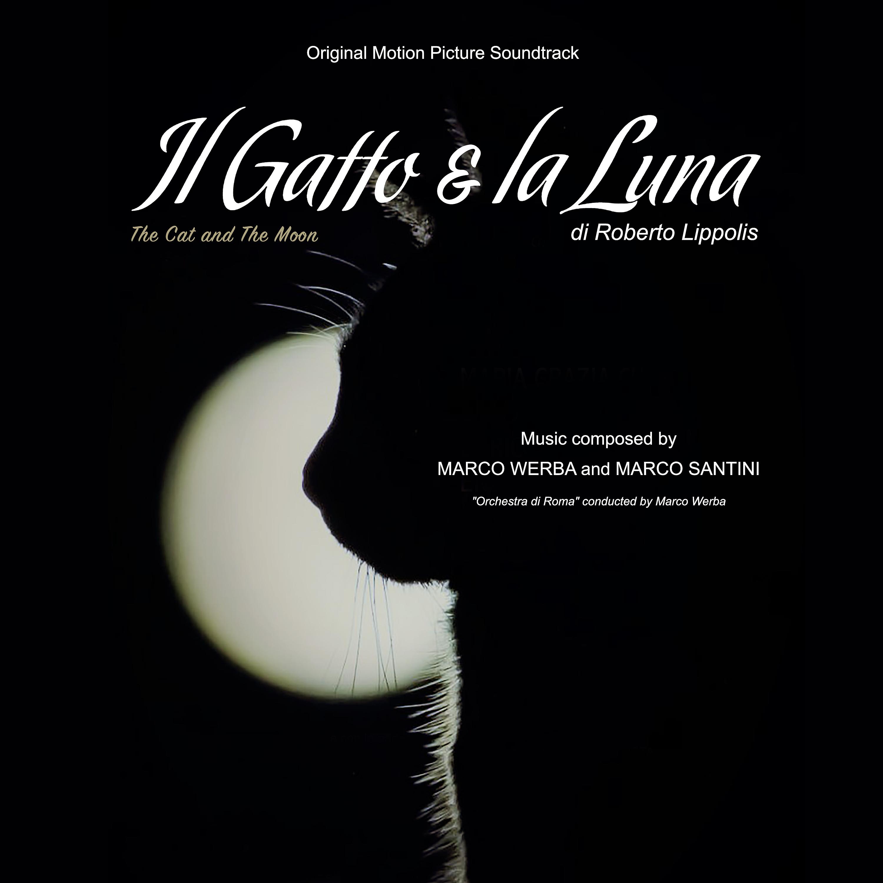 Постер альбома Il Gatto & La Luna (The Cat and the Moon) (Original Motion Picture Soundtrack)