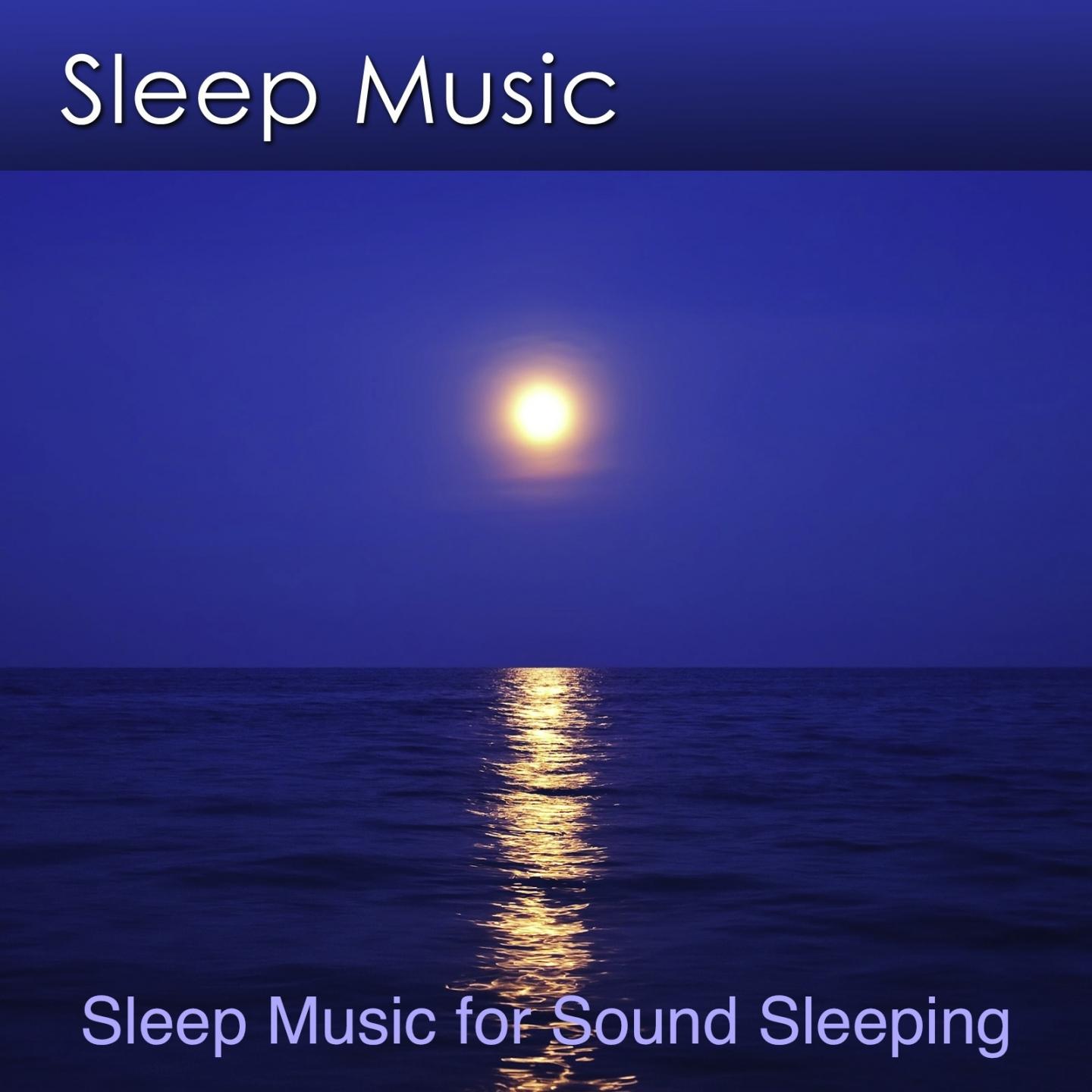 Постер альбома Sleep Soundly With Sleep Music
