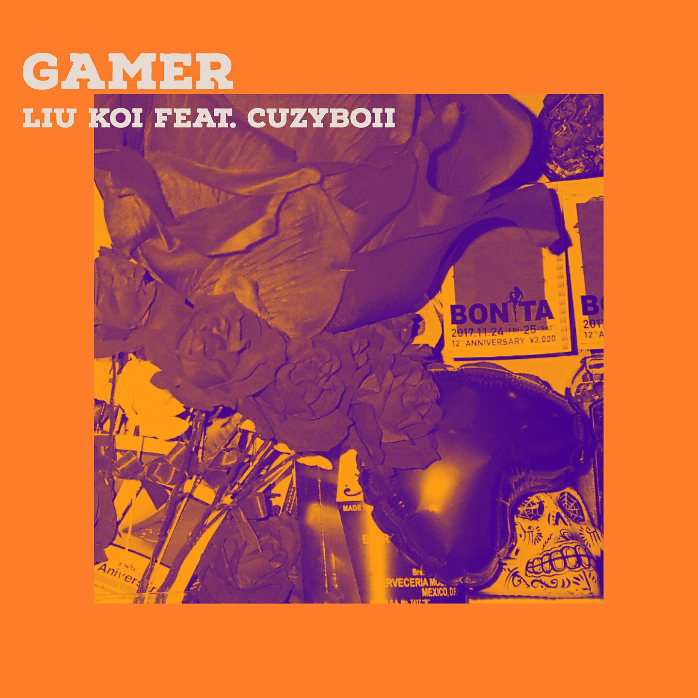 LIU KOI - Gamer